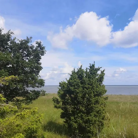 4 Person In 度假居 *